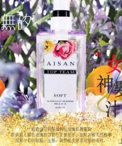 Aisan TopTeam 女神洗髮汁